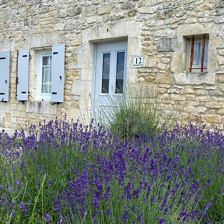 Les gîtes des Lauriers roses - Gîte Île d Oléron Geay (Charente-Maritime)