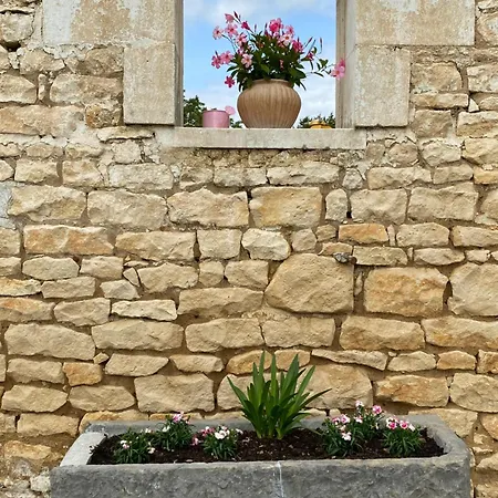 Les gîtes des Lauriers roses - Gîte Île d Oléron * Geay (Charente-Maritime)